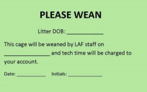 Please wean animal litter card for lab animals.