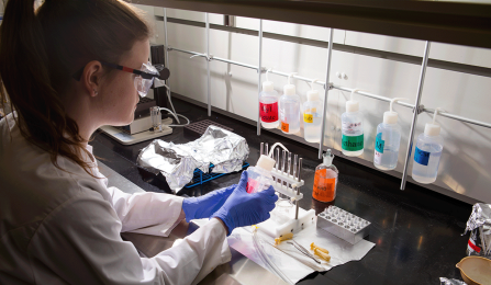 A student in full lab gear (gloves, lab coat and goggles) distributes a liquid specimen into one of several small tubes in the OSIBL.