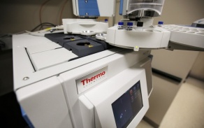 Thermo Scientific GC 1310.