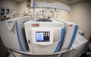 Trace1310 gas chromatograph, Isolink II, ConFlo IV, and a Delta V Plus IRMS.