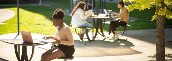 Students enjoy studying outdoors on a summer day.