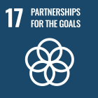 SDG 17.