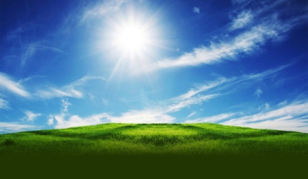 blue sky and sun shining over green grass.