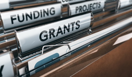 Files with the labels of grants, projects and funding.