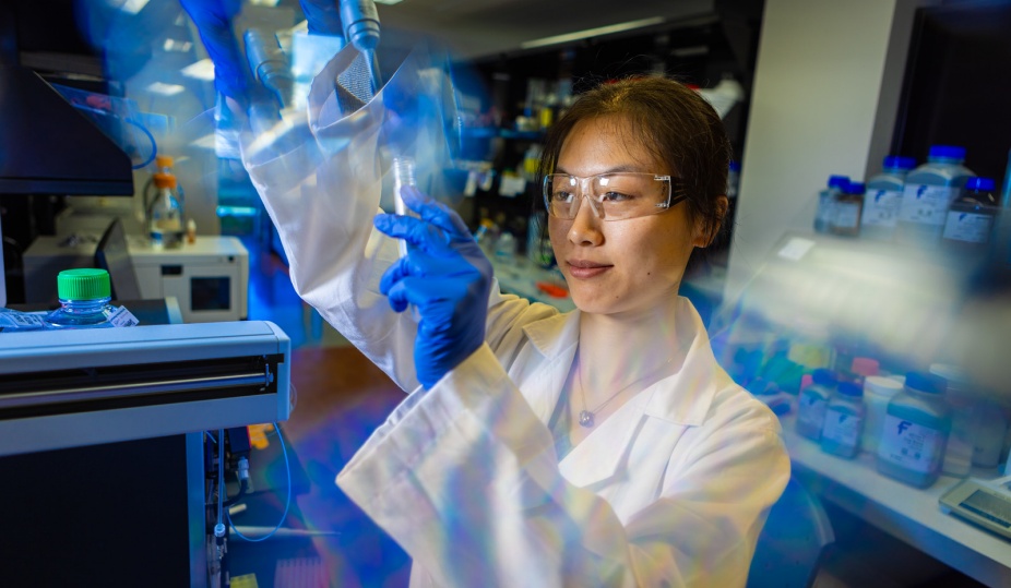 Photo of a student in a lab. 