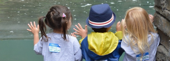 Photo - preschool children looking out.