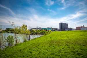 Photo of UB north campus near Lake LaSalle.