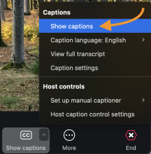 Zoom image: Attendees can click Show captions