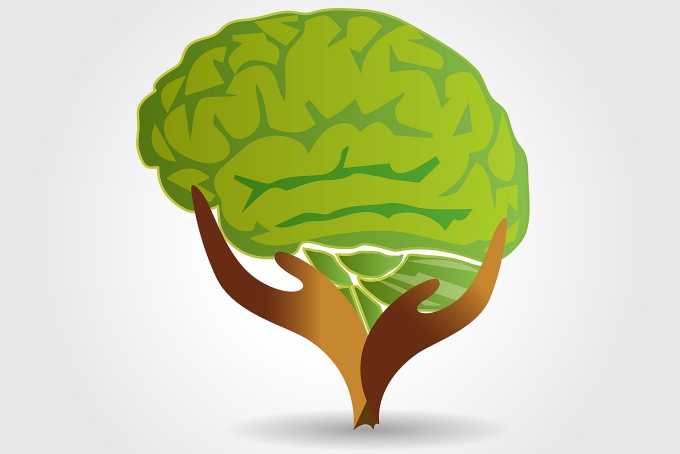 Brain represented as leaves on a tree being held by a trunk and branches represented as hands. 