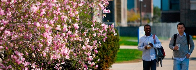 students walking across campus in the spring.