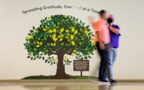 The Office of Student Life installed a gratitude tree in the Student Union where students, staff and faculty are invited to add their statements on leaves. It was photographed in August 2021. Photographer: Meredith Forrest Kulwicki.