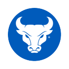 UB Spirit Mark icon.